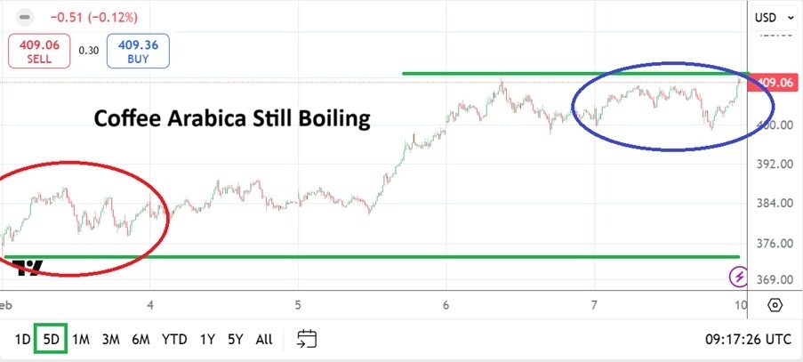 【XM Market Review】--Coffee Weekly Forecast: Boiling Prices Upwards and Crucial Level Overflows(图1)
