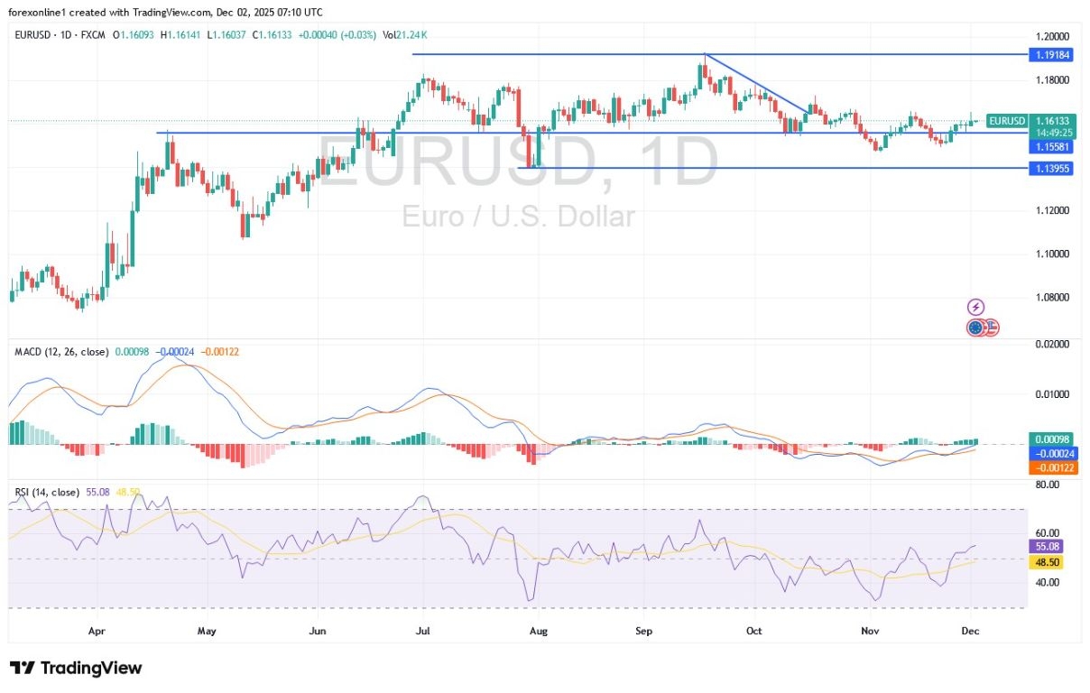 【XM Group】--EUR/USD Analysis: Euro Trading Higher Ahead of European Inflation Data(图1)