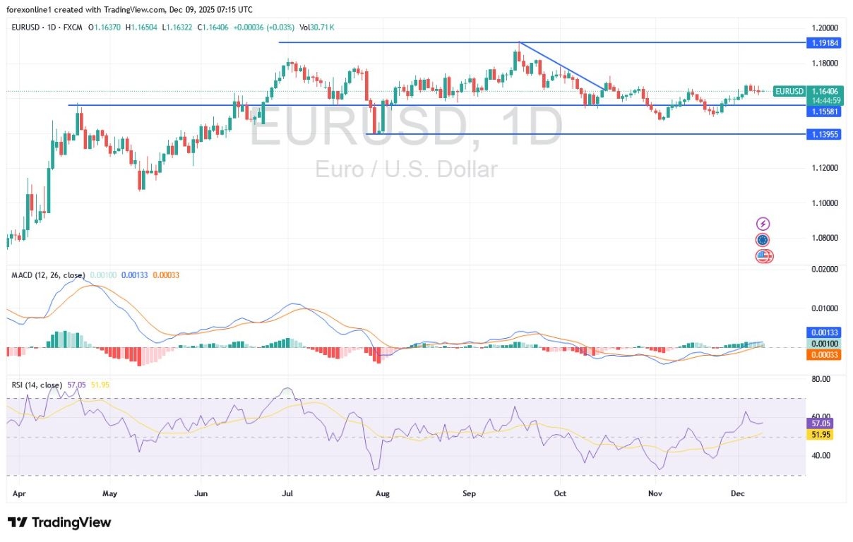 【XM Group】--EUR/USD Analysis: Edges Lower Ahead of US Jobs Data(图1) 【XM Group】--EUR/USD Analysis: Edges Lower Ahead of US Jobs Data(图1)